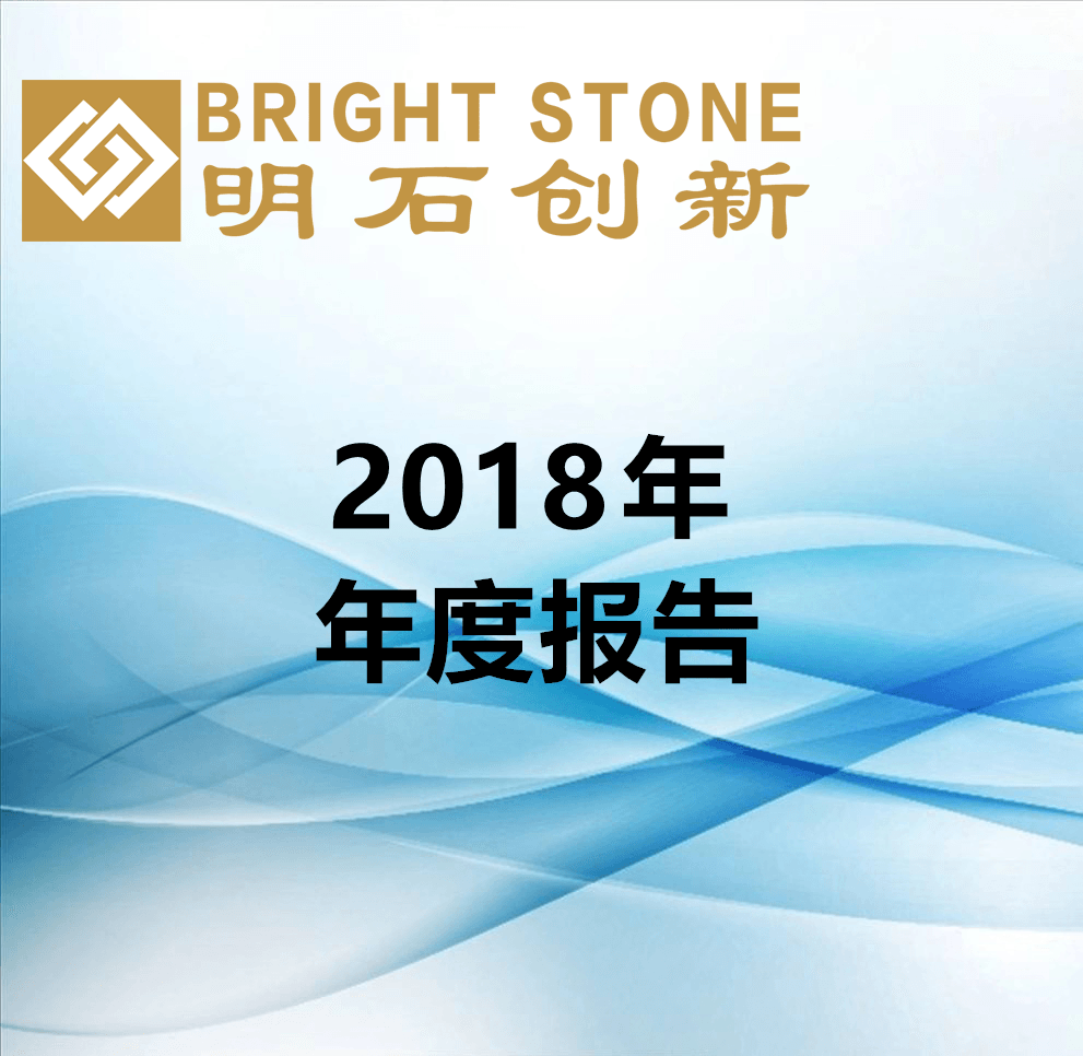 2018年年度報(bào)告